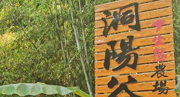 廣有合頁(yè)2019踏春拓展--經(jīng)歷中成長(zhǎng)，成長(zhǎng)中經(jīng)歷