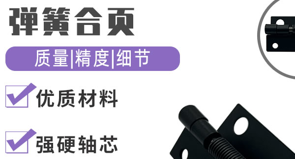 彈簧合頁，引領生活|廣有五金&東莞合頁