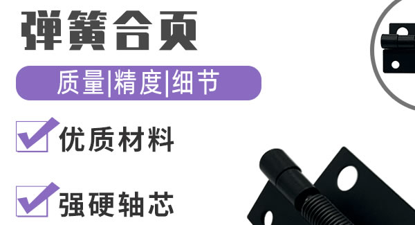 彈簧合頁，你身邊信賴的合頁|廣有五金&東莞合頁