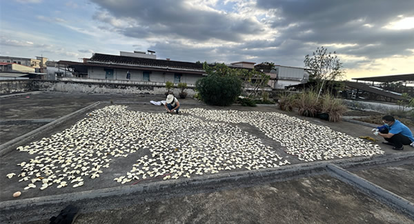 廣有樓頂曬場(chǎng)的歲月修行——傳藝曬陳皮|廣有五金&東莞合頁(yè)?